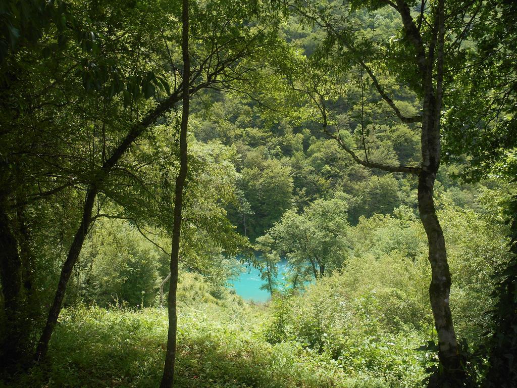 Готель Rafting Camp Tara 87 Hum Екстер'єр фото